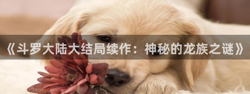 虫虫漫画免费官网